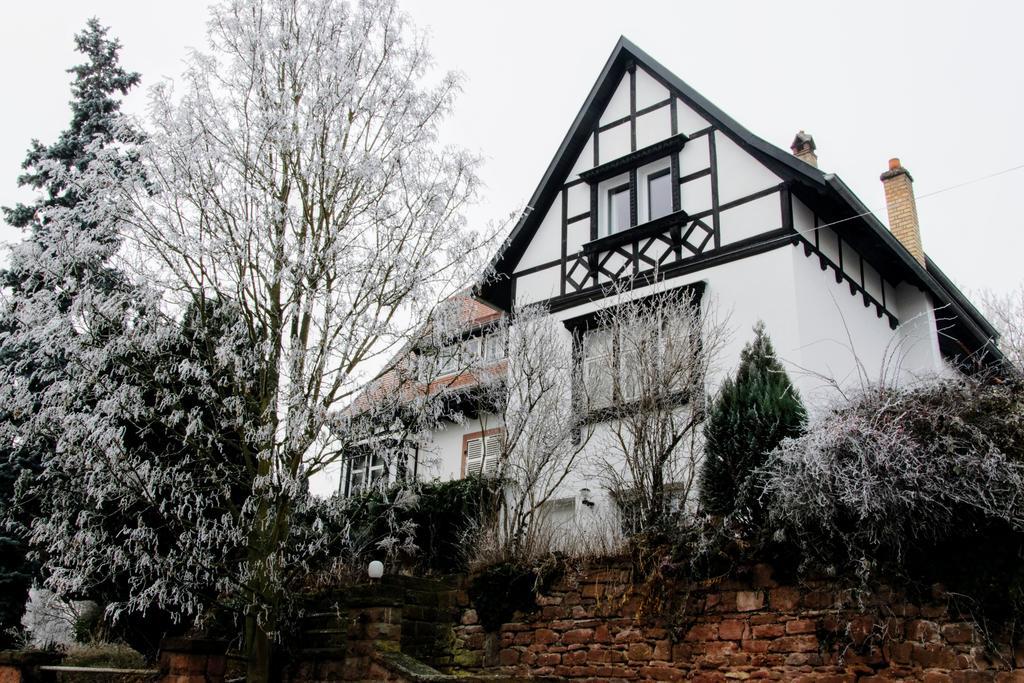 La Villa Du Coteau Obernai Kültér fotó